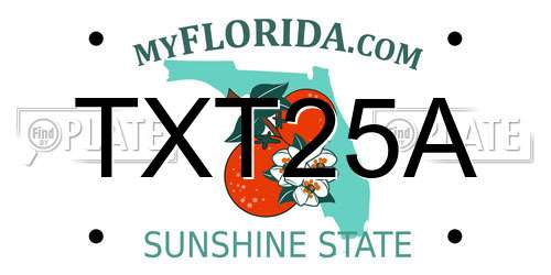 TXT25A Florida License Plate