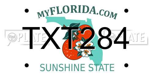 TXT284 Florida License Plate