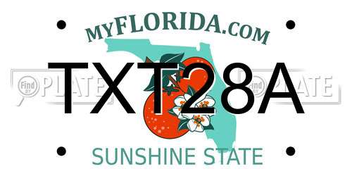 TXT28A Florida License Plate