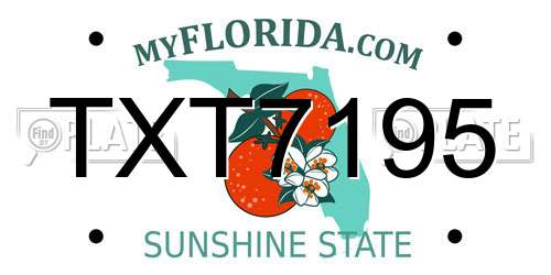 TXT7195 Florida License Plate