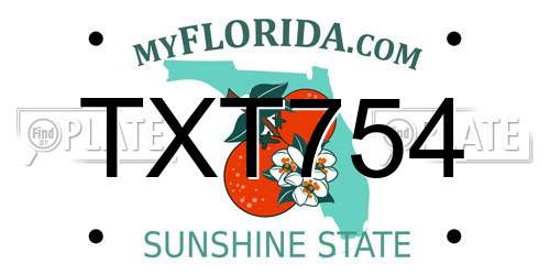 TXT754 Florida License Plate