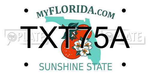 TXT75A Florida License Plate