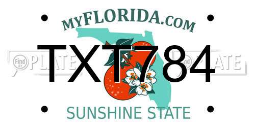 TXT784 Florida License Plate