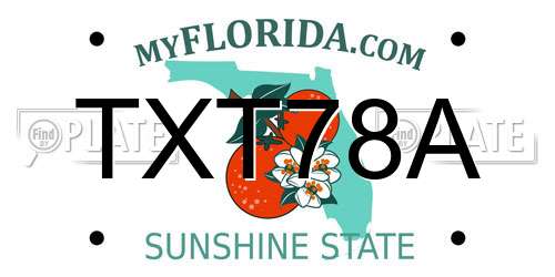 TXT78A Florida License Plate