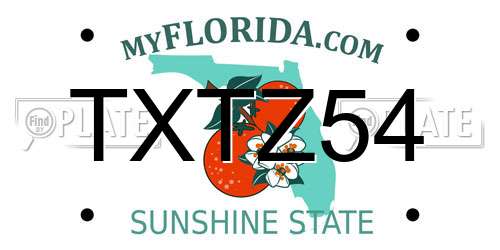TXTZ54 Florida License Plate