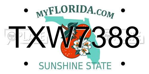 TXW7388 Florida License Plate