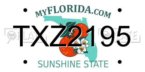TXZ2195 Florida License Plate