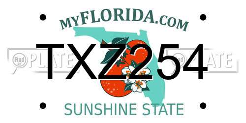 TXZ254 Florida License Plate