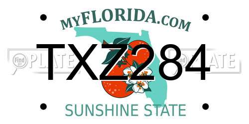 TXZ284 Florida License Plate