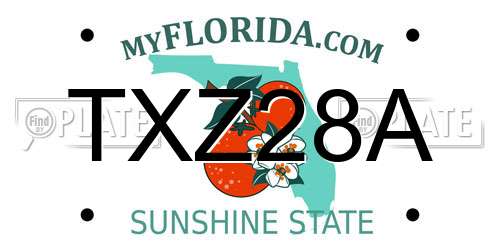 TXZ28A Florida License Plate