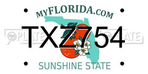 TXZ754 Florida License Plate