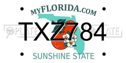 TXZ784 Florida License Plate