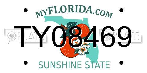 TY08469 Florida License Plate