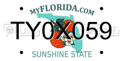 TY0X059 Florida License Plate