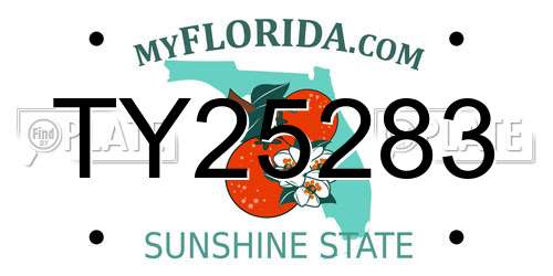 TY25283 Florida License Plate