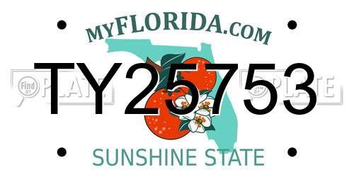 TY25753 Florida License Plate
