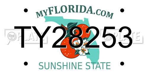 TY28253 Florida License Plate