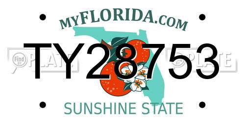 TY28753 Florida License Plate