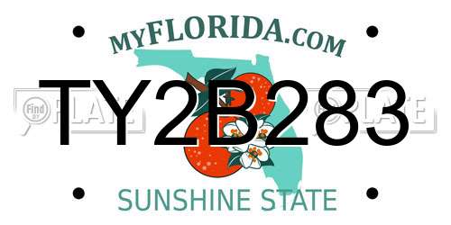 TY2B283 Florida License Plate