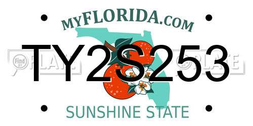 TY2S253 Florida License Plate
