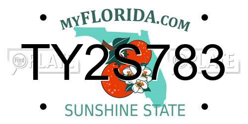 TY2S783 Florida License Plate