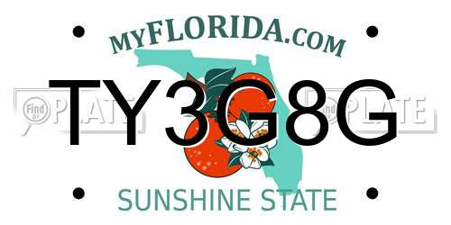 TY3G8G Florida License Plate