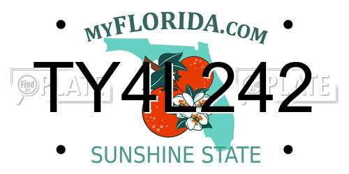 TY4L242 Florida License Plate