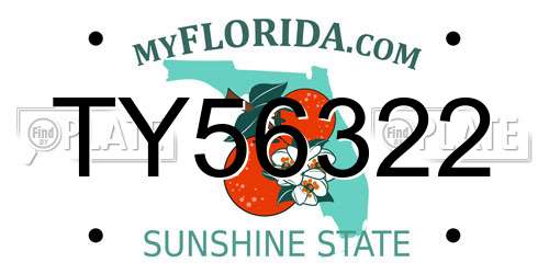 TY56322 Florida License Plate