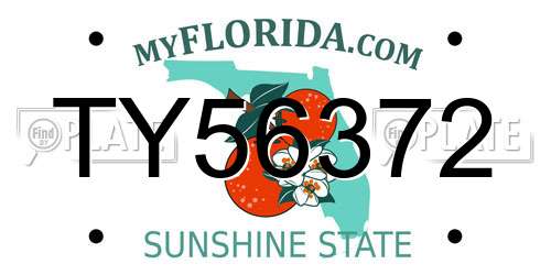 TY56372 Florida License Plate