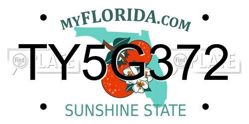 TY5G372 Florida License Plate