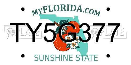 TY5G377 Florida License Plate