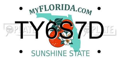 TY6S7D Florida License Plate