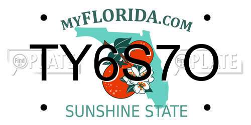 TY6S7O Florida License Plate