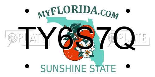 TY6S7Q Florida License Plate