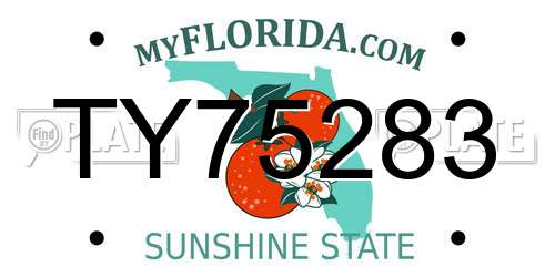 TY75283 Florida License Plate