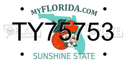 TY75753 Florida License Plate