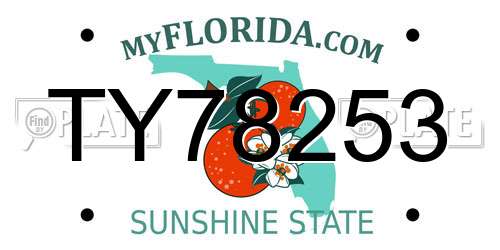 TY78253 Florida License Plate