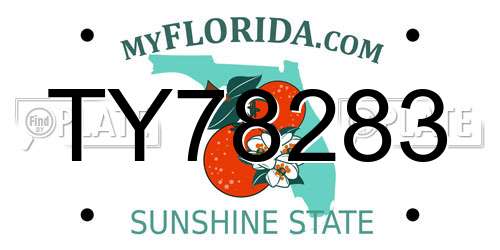 TY78283 Florida License Plate