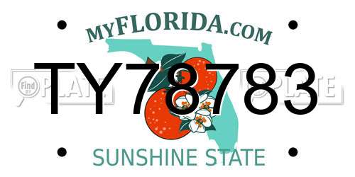 TY78783 Florida License Plate