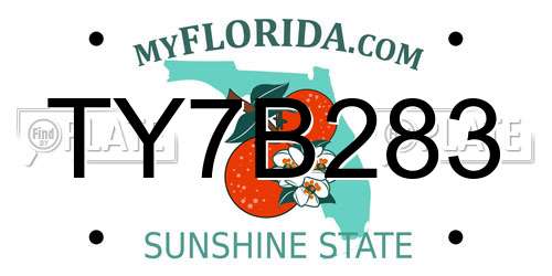 TY7B283 Florida License Plate