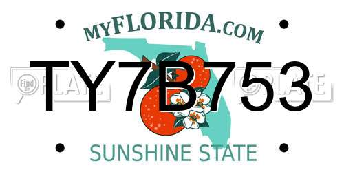TY7B753 Florida License Plate