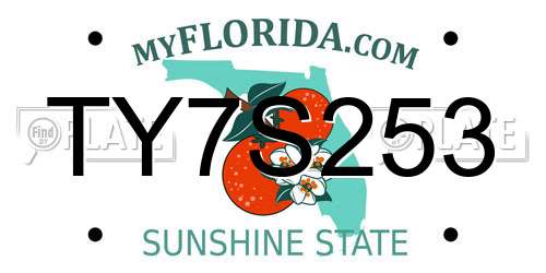 TY7S253 Florida License Plate