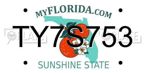 TY7S753 Florida License Plate