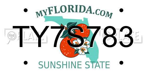 TY7S783 Florida License Plate