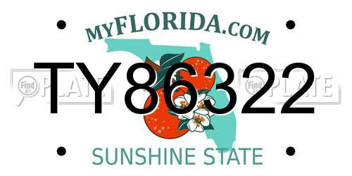 TY86322 Florida License Plate