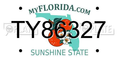 TY86327 Florida License Plate