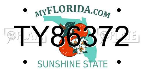 TY86372 Florida License Plate