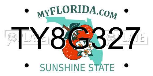 TY8G327 Florida License Plate