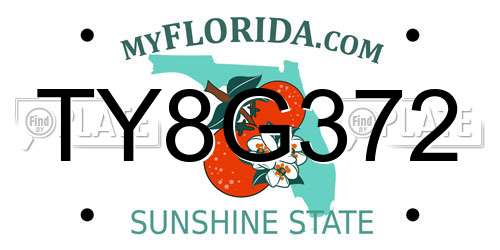 TY8G372 Florida License Plate