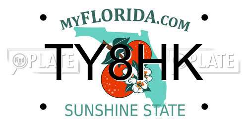 TY8HK Florida License Plate